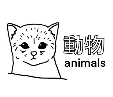 動物